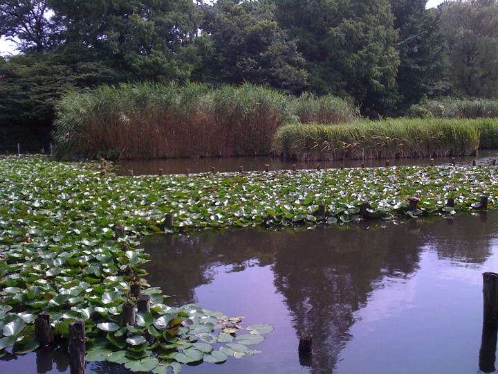 Zempukuj Park Zempukuj Park